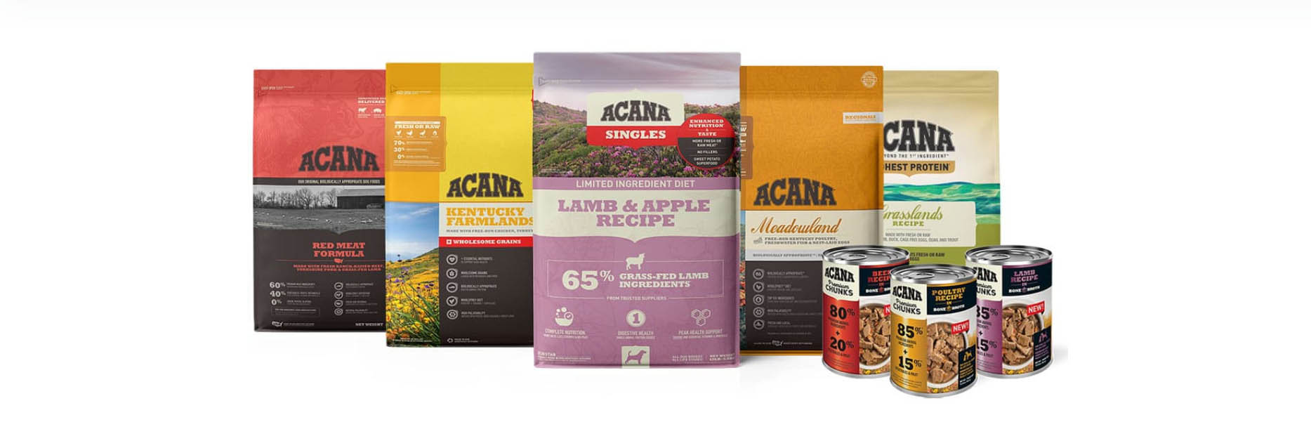 Cane Articoli Negozio -Cane Articoli Negozio FGHFGHT