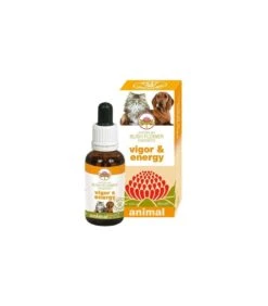 Bush Flower Vigor & Energy 30 Ml