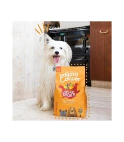 Edgard & Cooper Adult Carne Fresca Di Pollo Allevato A Terra Senza Cereali 2,5 Kg -Cane Articoli Negozio edgard cooper adult carne fresca di pollo allevato a terra senza cereali 25 kg 2