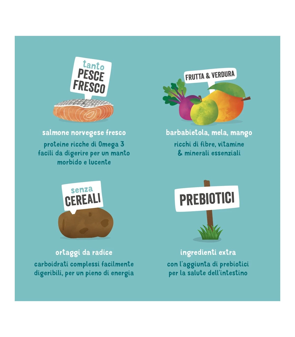 Edgard & Cooper Adult Carne Fresca Di Salmone Norvegese Senza Cereali 12 Kg 8 Edgard & Cooper Adult Carne Fresca Di Salmone Norvegese Senza Cereali 12 Kg - immagine 6