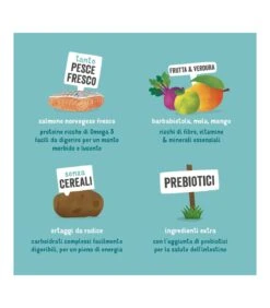 Edgard & Cooper Adult Carne Fresca Di Salmone Norvegese Senza Cereali 2,5 Kg 13 Edgard & Cooper Adult Carne Fresca Di Salmone Norvegese Senza Cereali 2,5 Kg -Cane Articoli Negozio edgard cooper adult carne fresca di salmone norvegese senza cereali 25 kg 5