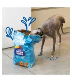 Edgard & Cooper Adult Carne Fresca Di Salmone Norvegese Senza Cereali 7 Kg 10 Edgard & Cooper Adult Carne Fresca Di Salmone Norvegese Senza Cereali 7 Kg -Cane Articoli Negozio edgard cooper adult carne fresca di salmone norvegese senza cereali 7 kg 2