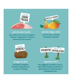 Edgard & Cooper Puppy Carne Fresca Di Anatra E Pollo Allevati A Terra Senza Cereali 12 Kg 17 Edgard & Cooper Puppy Carne Fresca Di Anatra E Pollo Allevati A Terra Senza Cereali 12 Kg -Cane Articoli Negozio edgard cooper puppy carne fresca di anatra e pollo allevati a terra senza cereali 12 kg 6