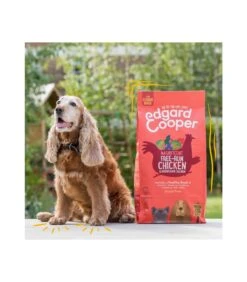 Edgard & Cooper Senior Carne Fresca Di Pollo Allevato A Terra E Salmone Norvegese Senza Cereali 12 Kg -Cane Articoli Negozio edgard cooper senior carne fresca di pollo allevato a terra e salmone norvegese senza cereali 12 kg 2