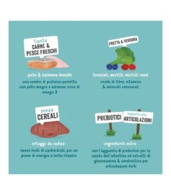 Edgard & Cooper Senior Carne Fresca Di Pollo Allevato A Terra E Salmone Norvegese Senza Cereali 12 Kg -Cane Articoli Negozio edgard cooper senior carne fresca di pollo allevato a terra e salmone norvegese senza cereali 12 kg 4