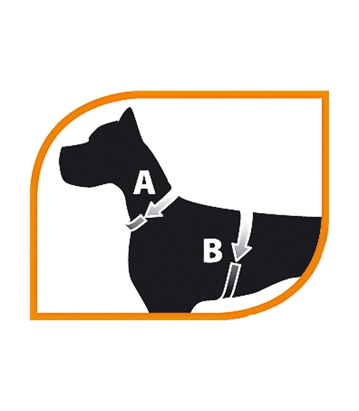 Ferplast Ergocomfort Nordic 2 Pettorina Con Maniglia 4 Ferplast Ergocomfort Nordic 2 Pettorina Con Maniglia - immagine 2