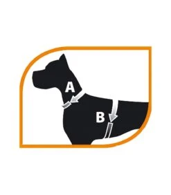 Ferplast Jogging Large Pettorina Con Guinzaglio -Cane Articoli Negozio ferplast jogging large pettorina con guinzaglio 2