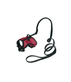 Cane Articoli Negozio 6 Ferplast Jogging Large Pettorina Con Guinzaglio