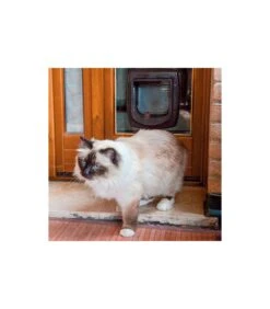 Ferplast Swing Microchip Marrone -Cane Articoli Negozio ferplast swing microchip marrone 2