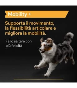 PURINA PRO PLAN Proplan Supplements Mobility + Cane 120 Gr -Cane Articoli Negozio proplan supplements mobility cane 120 gr 1