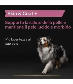 PURINA PRO PLAN Proplan Supplements Skin & Coat Cane 500 Ml -Cane Articoli Negozio proplan supplements skin coat cane 500 ml 1