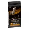 Purina Proplan Diet Nf Cane 12 Kg -Cane Articoli Negozio purina proplan diet nf cane 12 kg