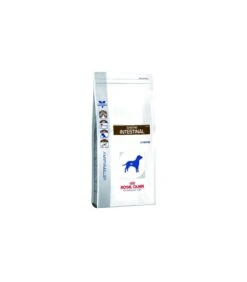 Royal Canin Gastro Intestinal Cane 2 Kg