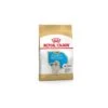 Royal Canin Golden Retriever Puppy 3 Kg -Cane Articoli Negozio royal canin golden retriever puppy 3 kg