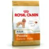 Royal Canin Poodle Adult 1,5 Kg 1 Royal Canin Poodle Adult 1,5 Kg -Cane Articoli Negozio royal canin poodle adult 15 kg