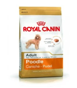 Royal Canin Poodle Adult 1,5 Kg